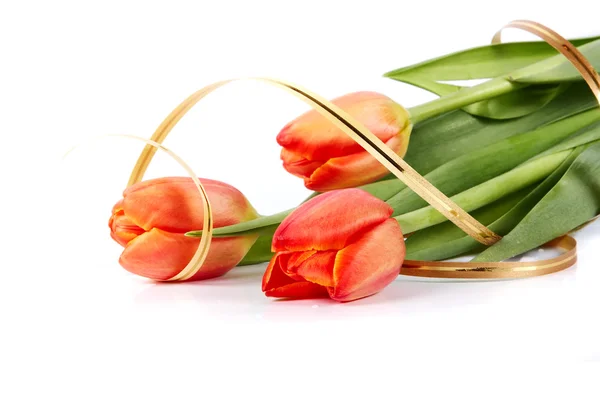 Букет красных тюльпанов — стоковое фото