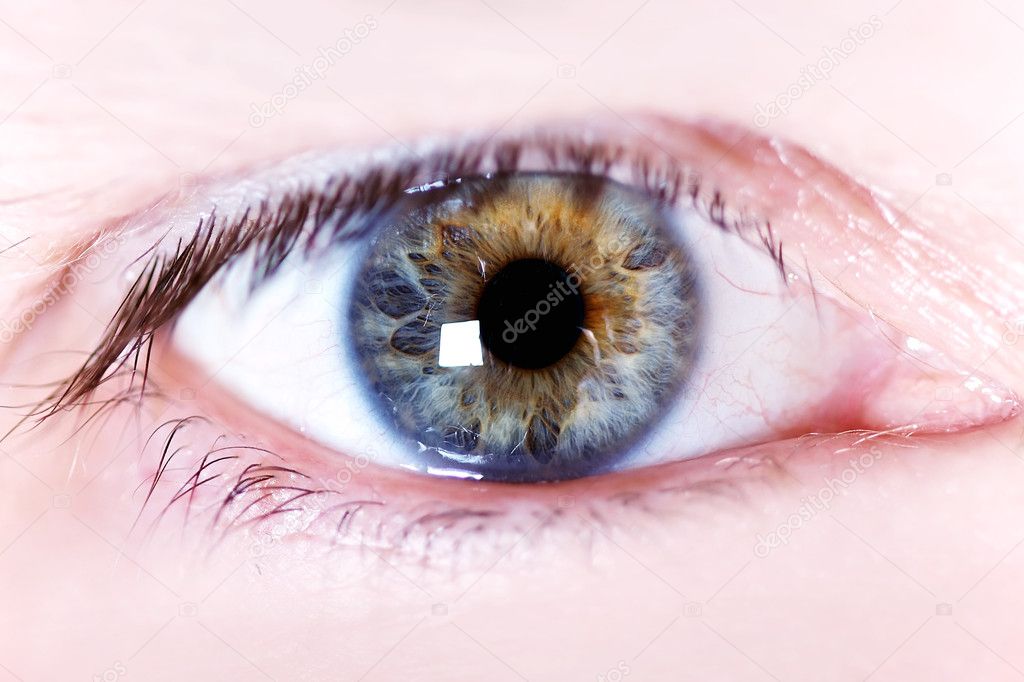 Iris of the eye of a human eye