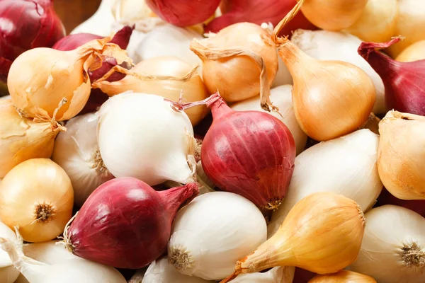 Close up van kleurrijke pearl uien — Stockfoto