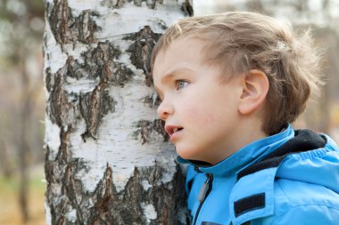 Portrait of dreamy boy about Birch, Fall, fleet clipart