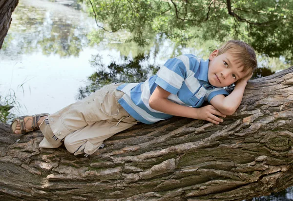 Chico yace en un árbol en el parque — Foto de Stock
