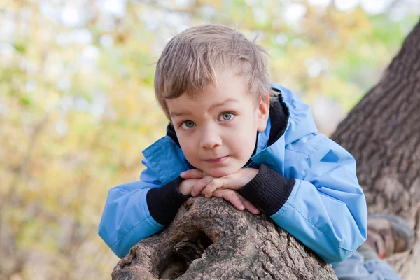 Porträt eines kleinen Jungen, Sturz, Park — Stockfoto