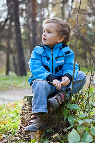 Kleiner Junge sitzt auf Baumstumpf, fällt, parkt — Stockfoto