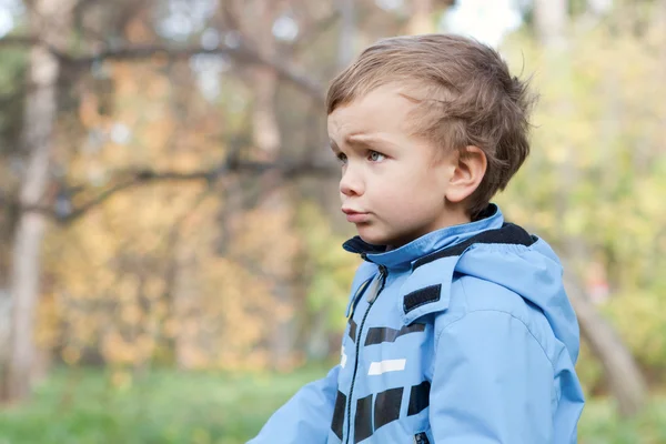 Portrait of young boy, fall, park — Stock Photo, Image