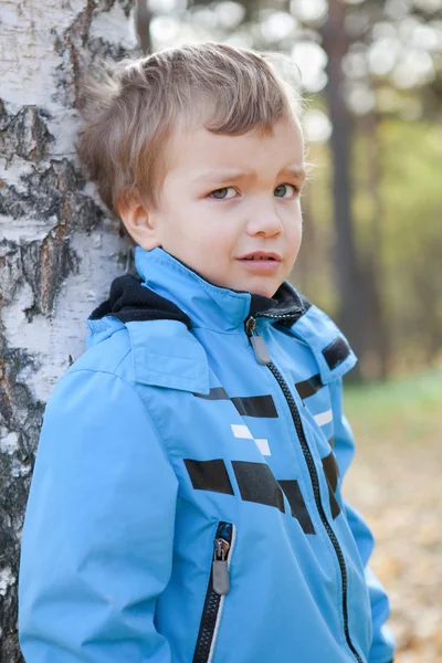 Portré elégedetlen fiatal fiú, ősz, park — Stock Fotó