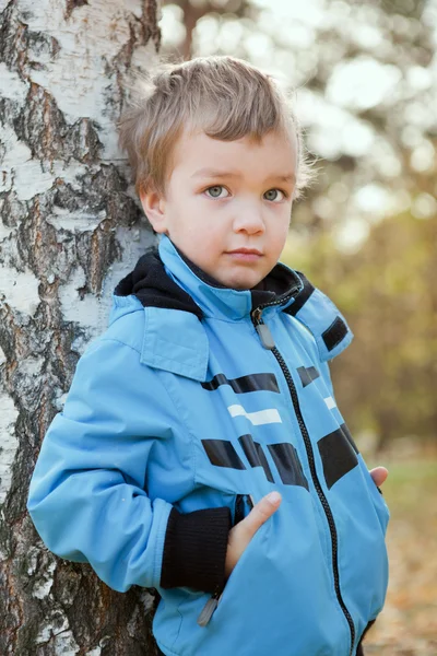 stock image Portrait of boy in blue jacket around birch.