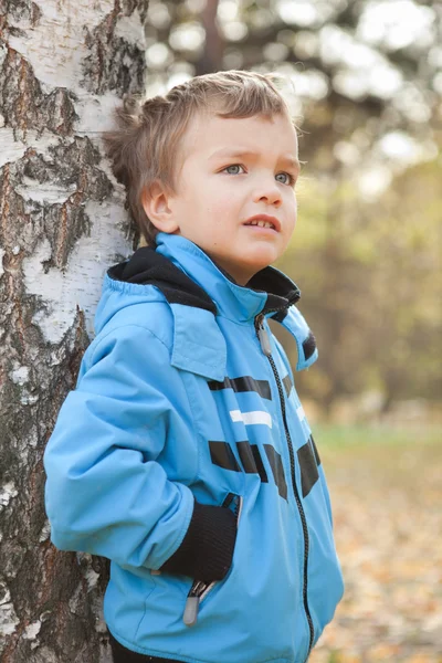 Huş ağacı, Sonbahar, filo hakkında rüya gibi çocuk portresi — Stok fotoğraf