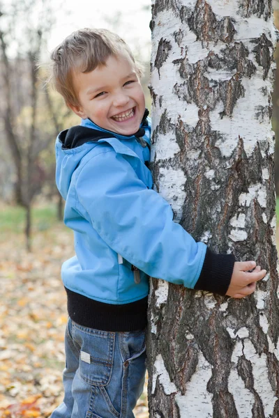 Cheerful boy hugging birches, autumn park — Stock Photo, Image