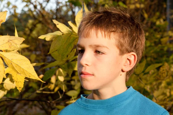 Portrét závažných chlapce v parku, na podzim — Stock fotografie