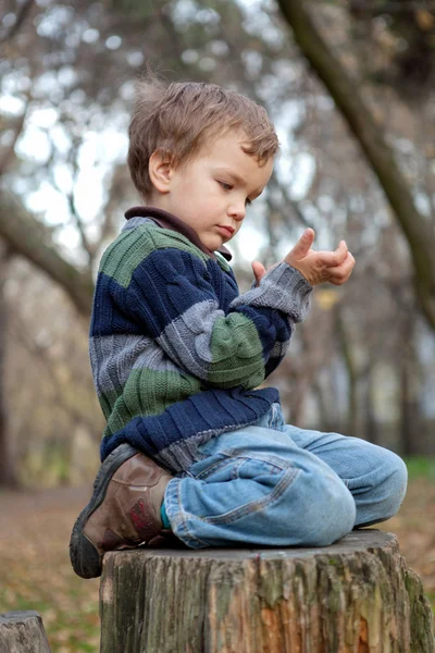 小男孩坐在树桩，秋天，公园 — 图库照片