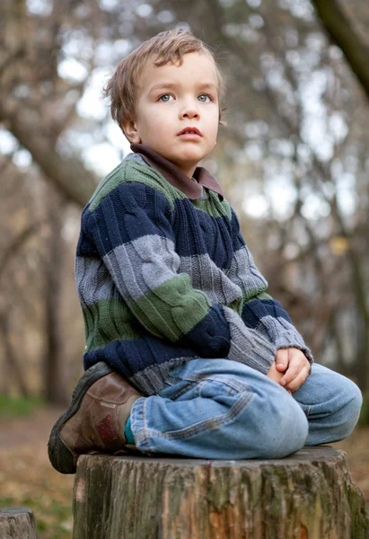 Маленький хлопчик сидить на дереві пень, падає, парк — стокове фото