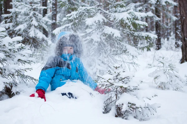 Boy is sitting in snow, winter forest — Stock Photo, Image