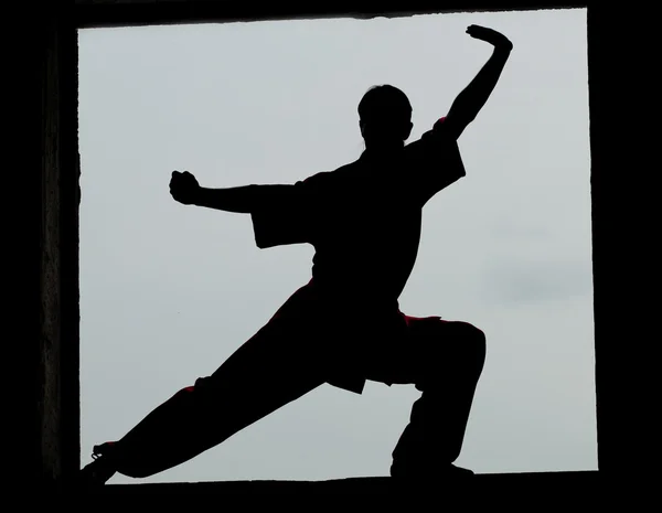 Wushoo hombre en las artes marciales práctica rojo — Stockfoto
