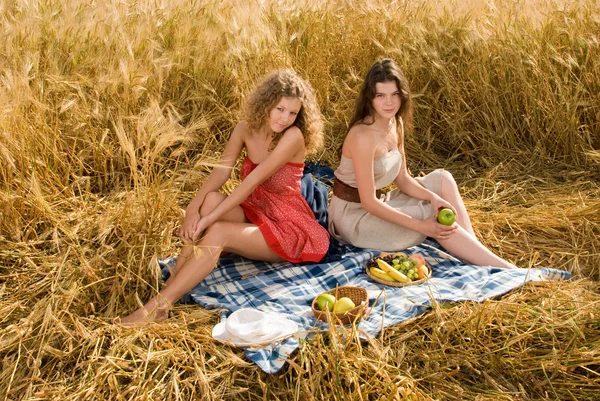 Dos hermosas chicas eslavas en el picnic —  Fotos de Stock