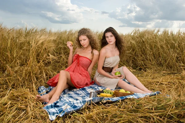 stock image Two beautiful slavonic girls on picnic