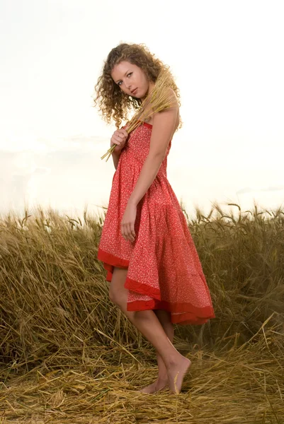 Beautiful slavonic girl pose in wheat field — Stock Photo, Image