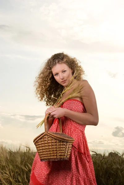 Piękna dziewczyna słowiańskich stanowią w polu pszenicy — Zdjęcie stockowe