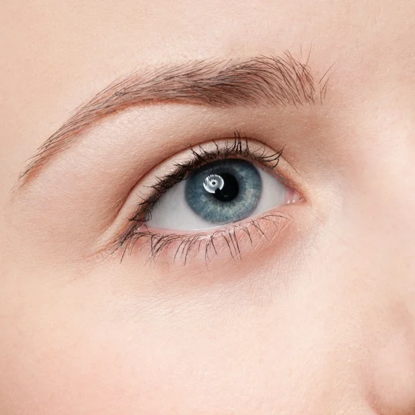 Cosmetische kwast - close-up portret van oogschaduw zone — Stockfoto