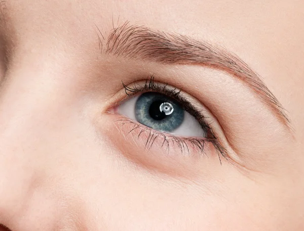 Cosmetic paint brush - close-up portrait of eye shadow zone — Stock Photo, Image