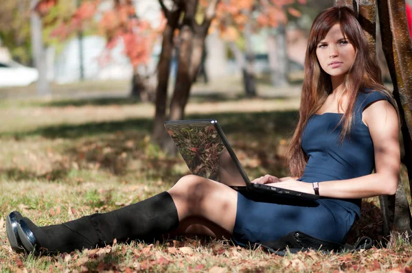 Joven mujer de negocios usando notebook —  Fotos de Stock