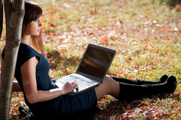 Dizüstü bilgisayar kullanan genç iş kadını — Stok fotoğraf