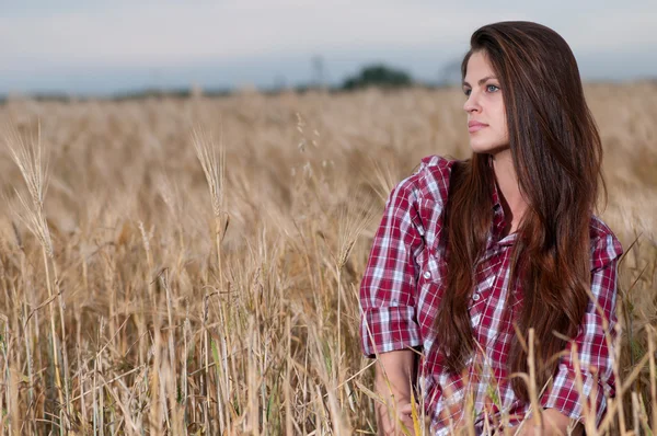 stock image Beautiful cowboy woman posing in field