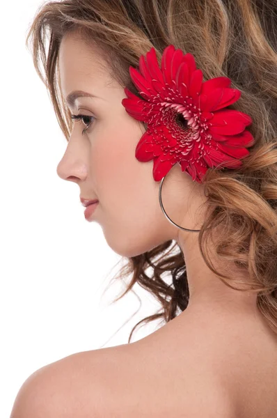 美しい少女の赤いアスターの花のクローズ アップ — ストック写真