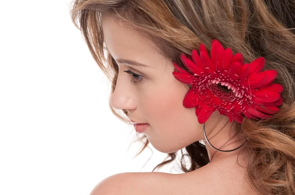 Крупним планом красива дівчина з червоною квіточкою айстра — стокове фото