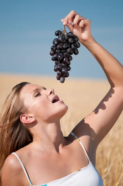 Mujer en el campo de trigo comiendo uvas. Picnic de verano . —  Fotos de Stock