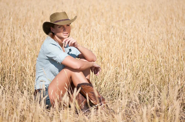 Mujer vaquera en campo de trigo campestre —  Fotos de Stock