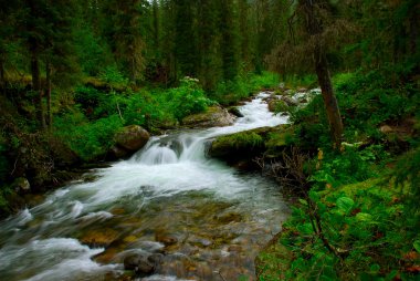 kleine watervallen over mossy rotsen