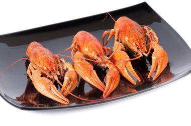 Plate of red boiled lobsters clipart