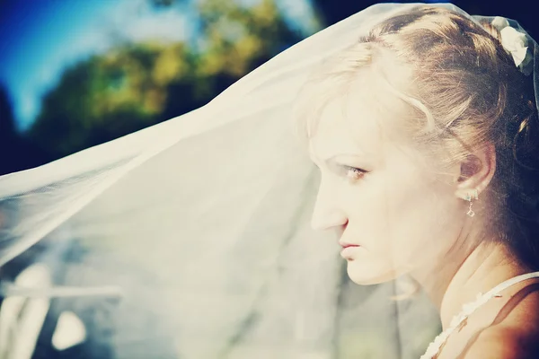 Portrett av bruden ved siden av – stockfoto