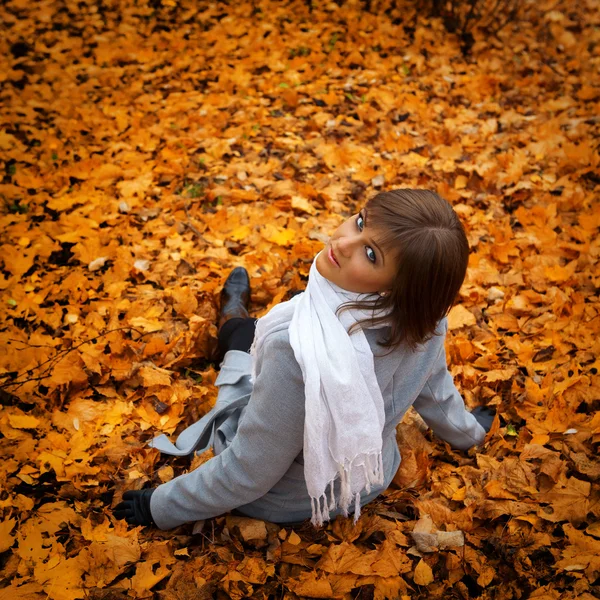 Retrato de una hermosa chica en el fondo del lan de otoño — Foto de Stock