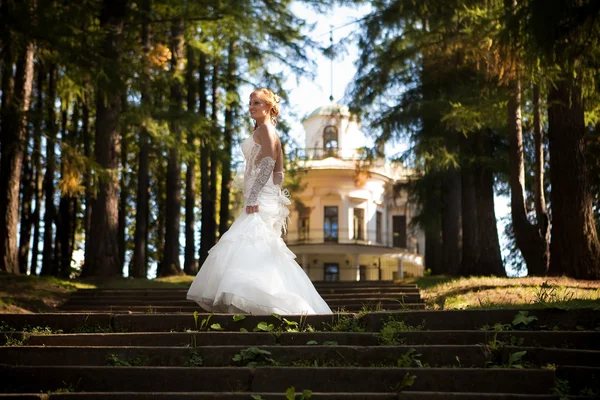 Menyasszony egy világos meleg nap jelentenek a lépcsőn — Stock Fotó