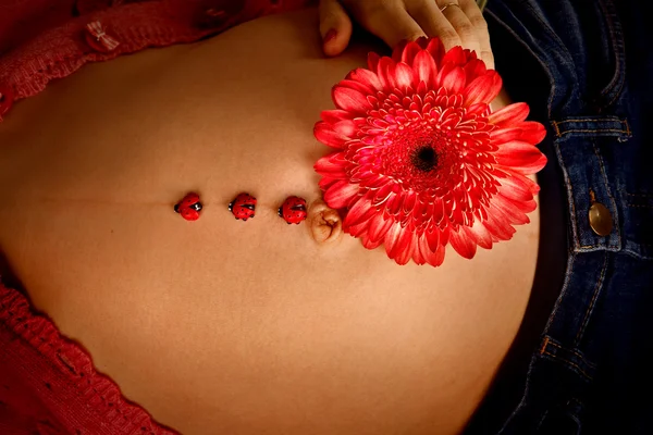 Barriga da mulher grávida com uma flor vermelha — Fotografia de Stock