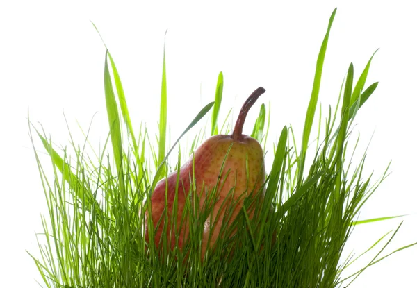 Päron i gräs — Stockfoto