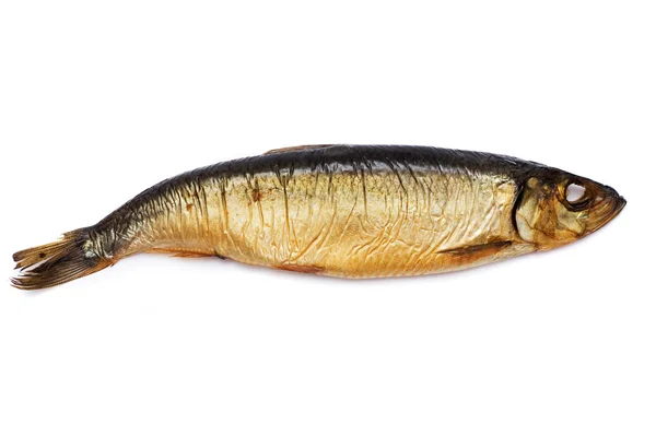 Tütsülenmiş balık — Stok fotoğraf