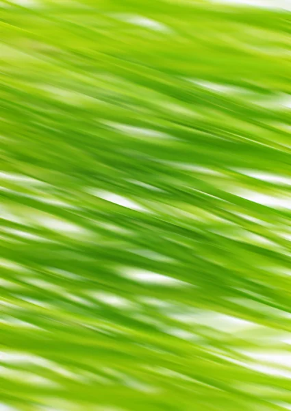 stock image Green grass