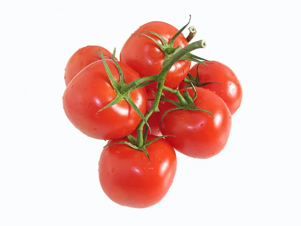 Tomates