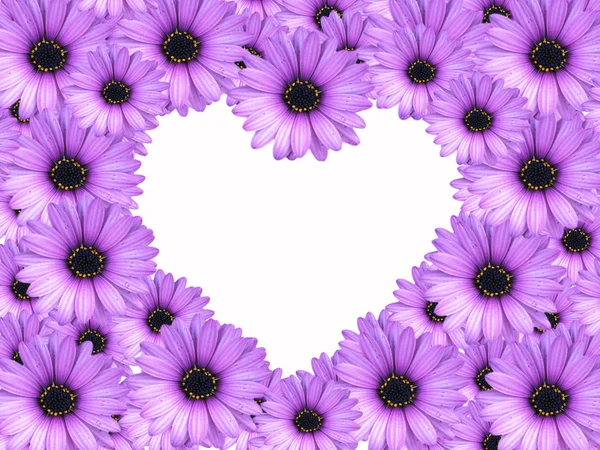 Stock image Heart of daisies