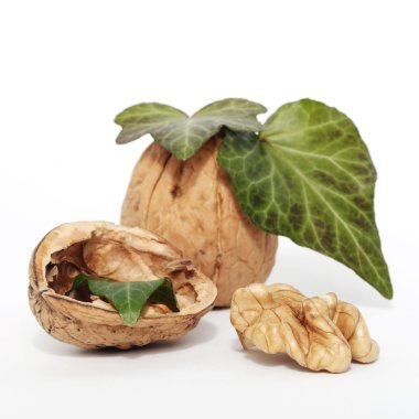 Fresh walnut whole and shelled clipart