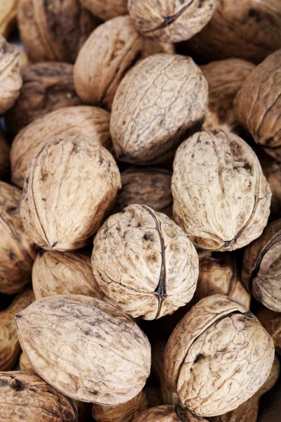 Stock image Walnuts