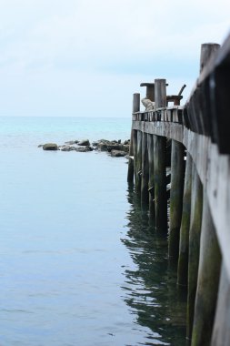 Seaside ahşap İskelesi