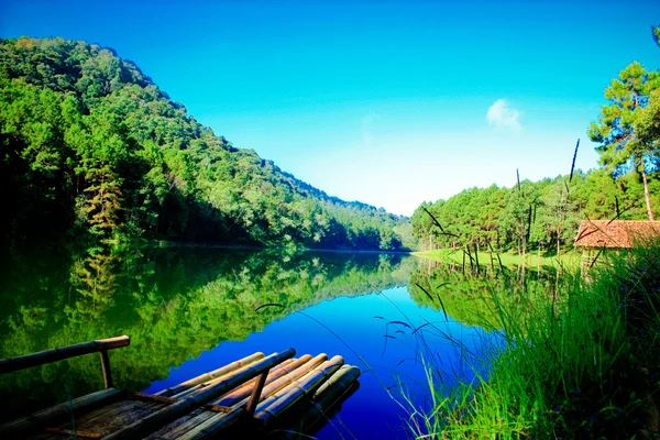Innsjøen Pang-ung – stockfoto
