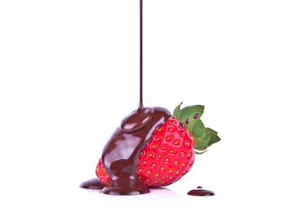 Jordgubbe choklad Stockbild
