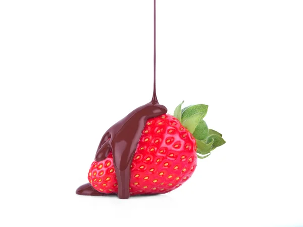 Strawberry chocolate — Stock Photo, Image