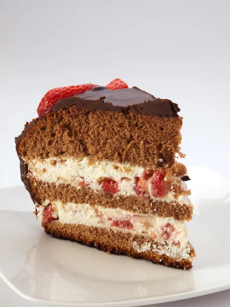 비스킷 초콜릿 케이크 — 스톡 사진