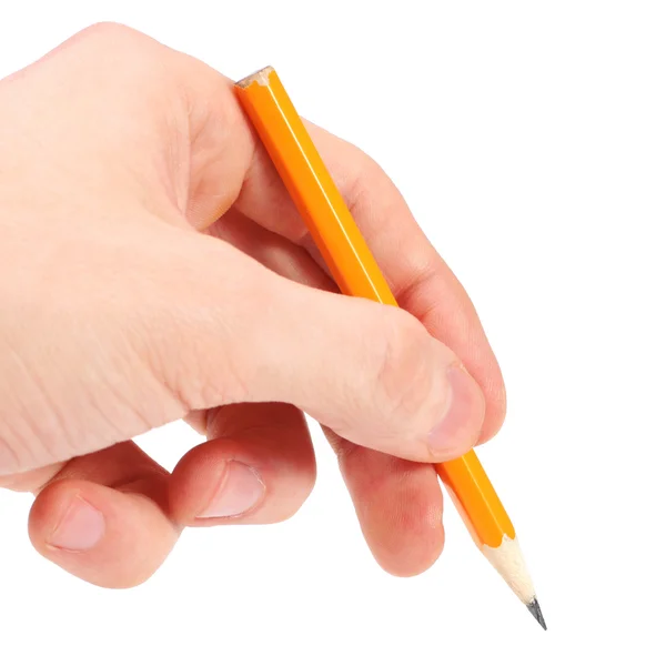 Gelber Bleistift in der Hand isoliert auf weißem Hintergrund Stockbild