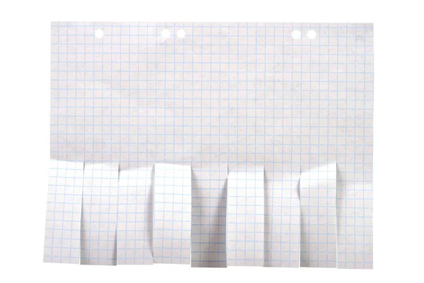 Papel publicitario en blanco con hojas cortadas —  Fotos de Stock